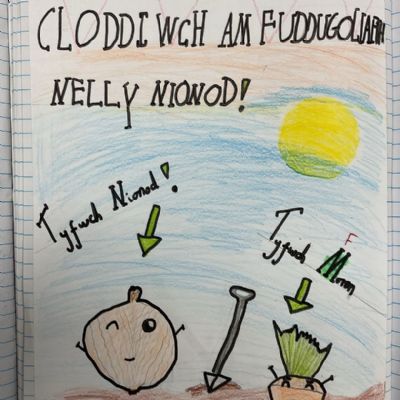 Welsh Vocabulary